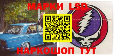 стафф Берёзовский