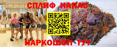 ECSTASY Бийск