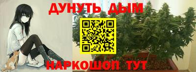 ALPHA PVP Беслан