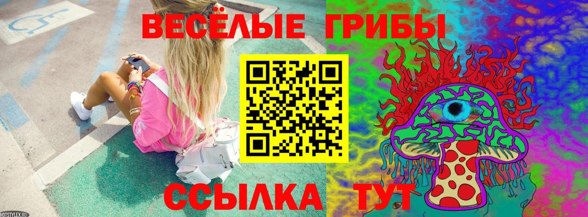 Псилоцибиновые грибы ЛСД Иваново