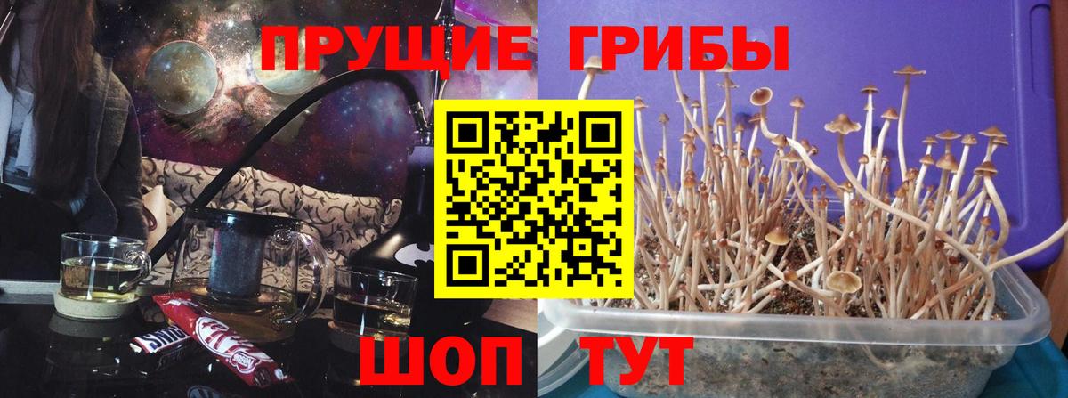 Иваново  Галлюциногенные грибы мухоморы  Псилоцибиновые грибы Psilocybe  Вход с VPN 